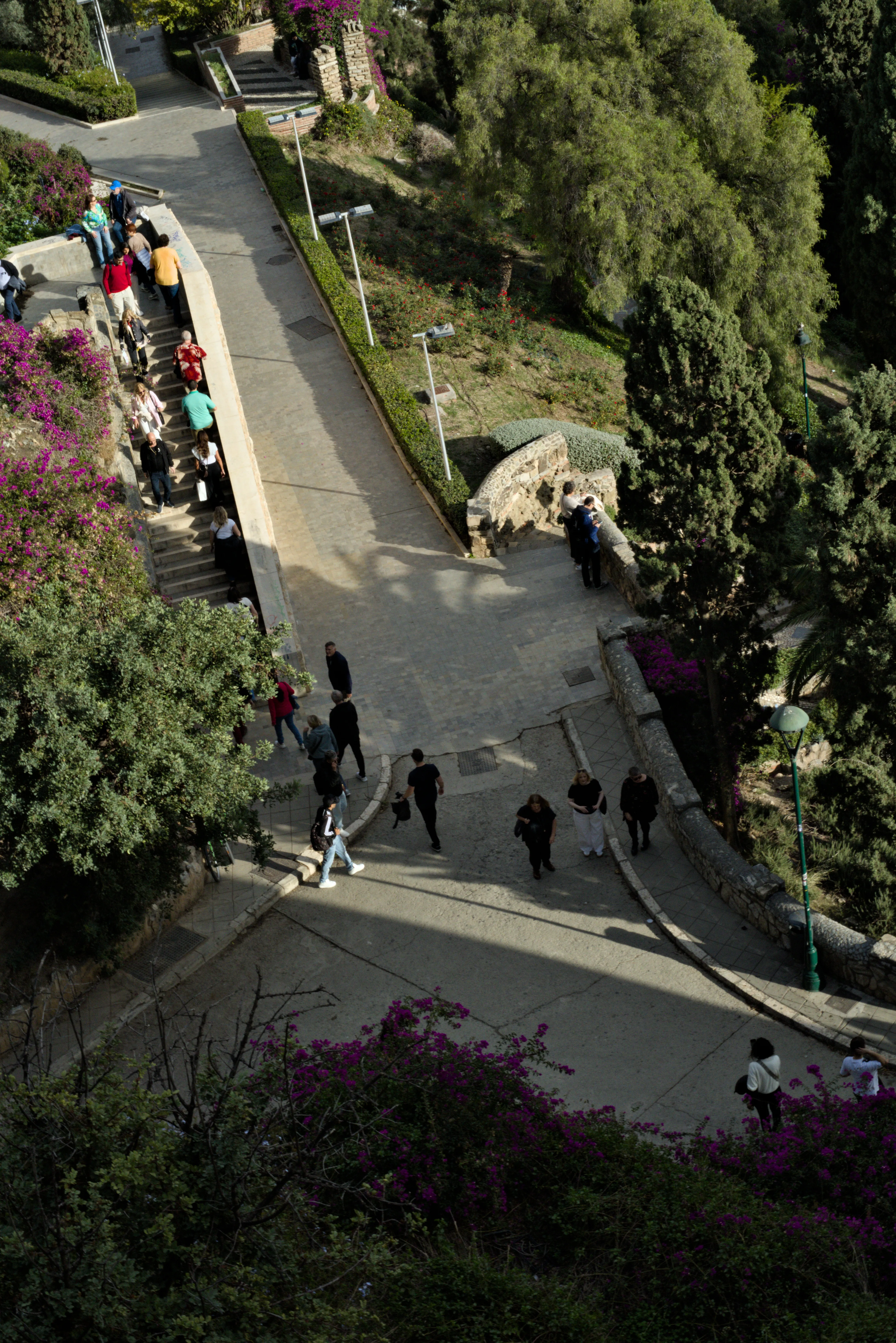 Meyer-Optik Görlitz Primagon 35mm f4.5 (M42) - _I4A7290.webp